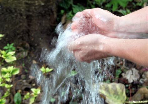 Tracce di pesticidi in quasi tutte le acque minerali italiane, tra le .